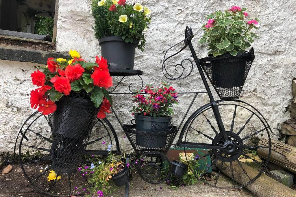 Rhubarb Cottage Enniskillen Extérieur photo