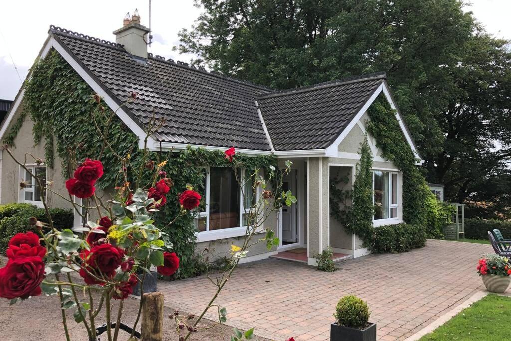 Rhubarb Cottage Enniskillen Extérieur photo